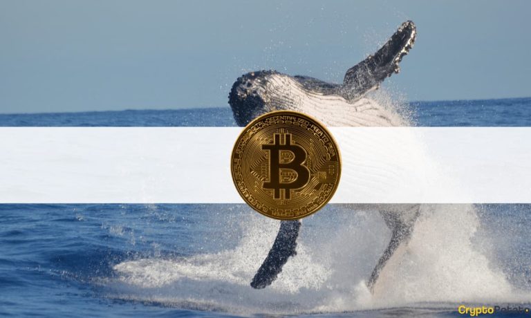 Bitcoin Whales at 3-Year Low, Retail Investors at ATH